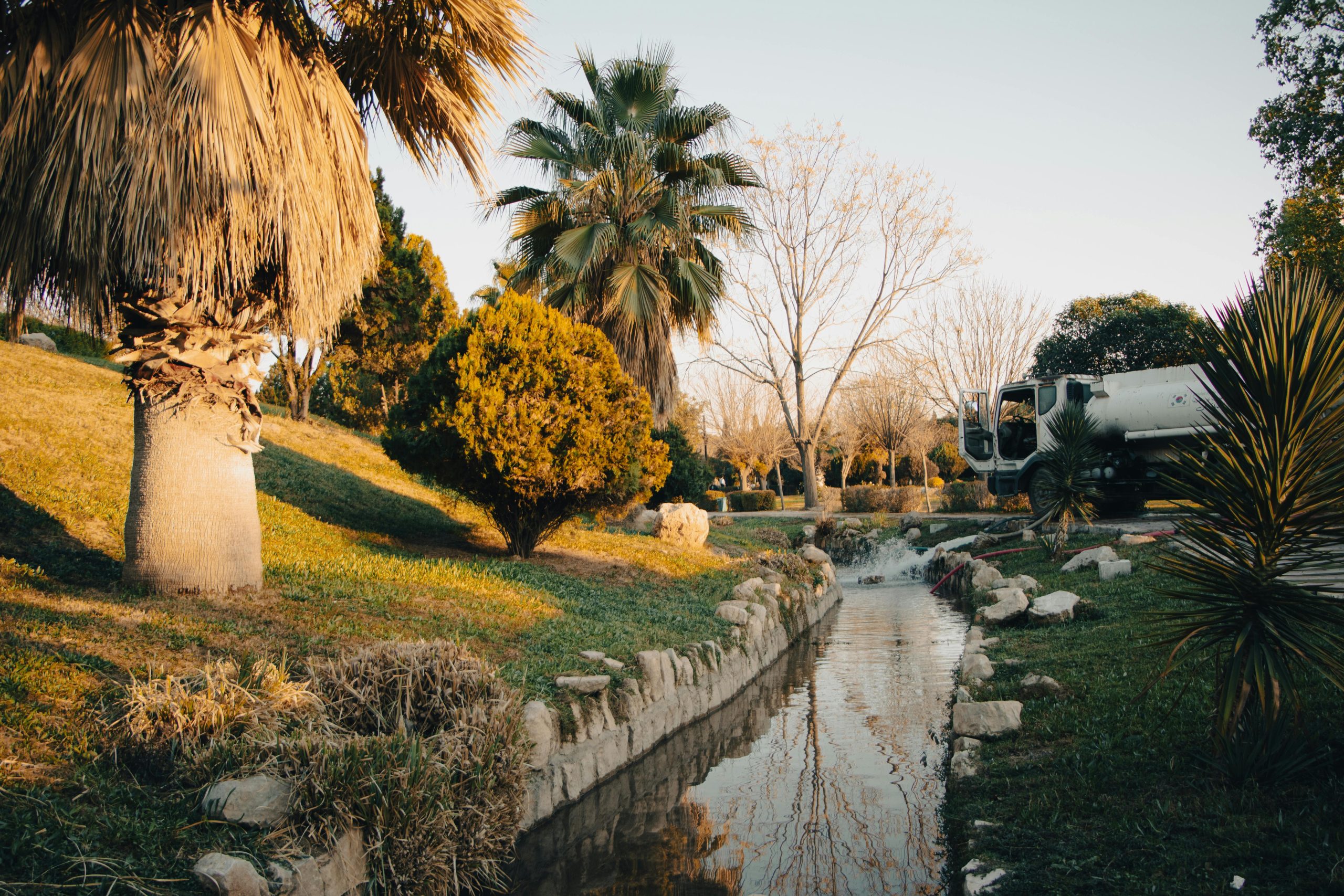 Idyllic park landscape with a canal, palm trees, and a water tank truck during golden hour.